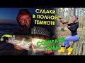 СУДАКИ МОНСТРЫ ИЗ ТЕМНОТЫ! КАК ЛОВИТЬ ОСЕНЬЮ?! Ловля судака на джиг осенью. Рыбалка на спиннинг 2021