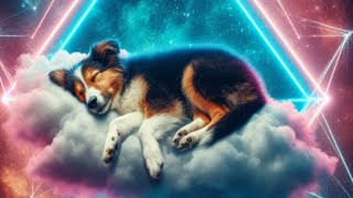 🐶работает менее чем за 1 минуту 💤музыка для собак для сна расслабляющая предназначена для собак 2024