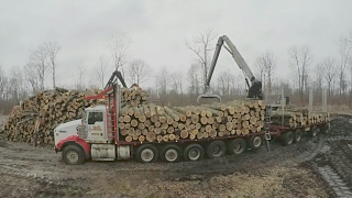 TIME LAPSE LOADING THE LOG TRUCK!!