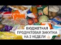 БЮДЖЕТНАЯ ПРОДУКТОВАЯ ЗАКУПКА НА 2 НЕДЕЛИ 👍🏻 🍏🍎🍐🍉