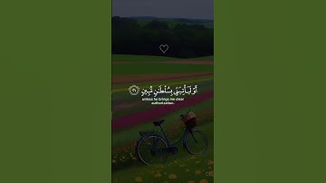 وَتَفَقَّدَ الطَّيْرَ فَقَالَ مَا لِيَ لَا أَرَى الْهُدْهُدَ ...تلاوة خاشعة مريحة للقلب احمد النفيس