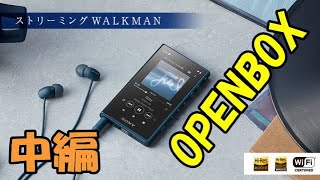 SONY WALKMAN 16GB NW-A105HN OPENBOX 中編