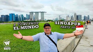 A comernos el mundo Singapur  Mr Wagyu