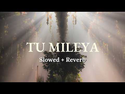 Tu Mileya (Slowed + Reverb) | Akhil S | Tarun K x Khushi S | RAAG DROPZ | Midnight Syndicate