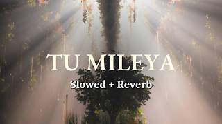 Tu Mileya (Slowed   Reverb) | Akhil S | Tarun K x Khushi S | RAAG DROPZ | Midnight Syndicate