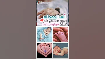 مباركه مولود جديد 