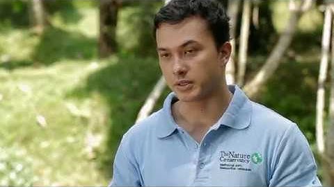 Nicholas Saputra - Nature Conservancy