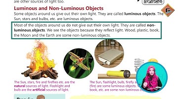 Gohar Skill Up Science 5|Unit 5|Lec 2|Light