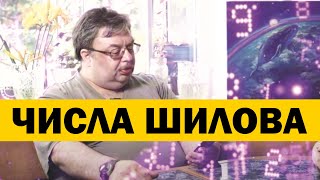 Числа Шилова. Сергей Шилов