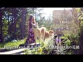 標高1300m山奥森暮らし 私と動物達の森の花園