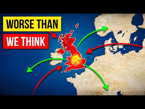 The Brexit Brain