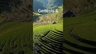Genesis 6 - Mensagem #devocional #feliznatal #devotional