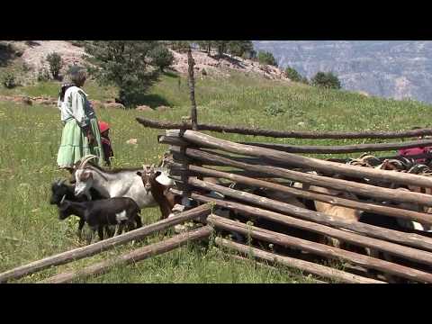 Video: Montañas De Cobre