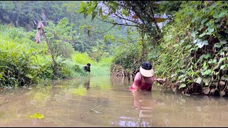 A girl went to catch snails and met a strange boy following her