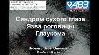 Транспозиция протока слюнной железы при синдроме сухого глаза. Фрагмент. Транспозиция протока слюнной железы при синдроме сухого глаза. Фрагмент.