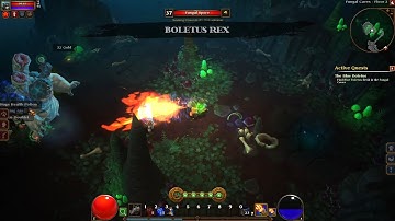 {28} Act III: After The Alchemist {Engineer - Torchlight II}