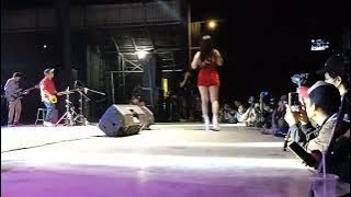 desy tata merah merona ll Lali Janjine cover