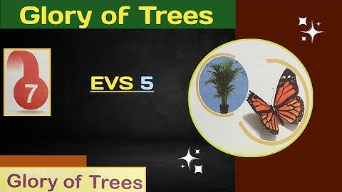 Glory of Trees // EVS // Chapter 7 // Class 5 // #EVS