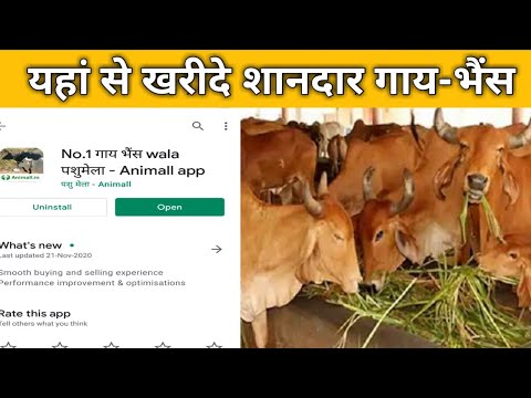 सीधा किसान से खरीदे मनपसंद पशु । No.1 गाय भैंस वाला पशु मेला - Animall app। kisan farming