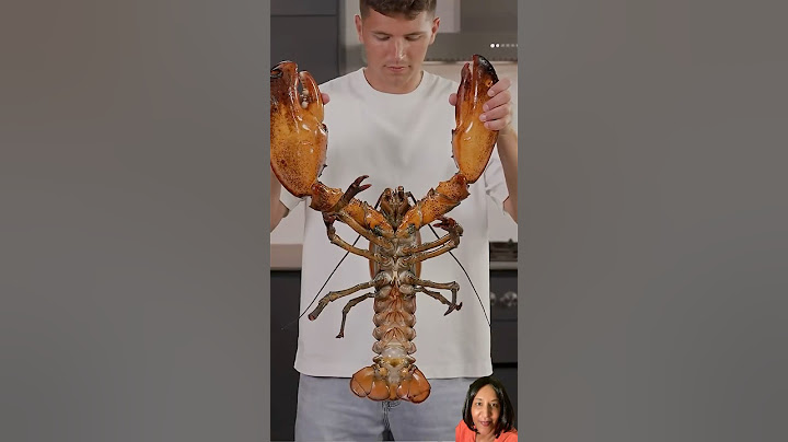 Lobster 🦞 VS creator products #seafood #youtubeshorts #shortvideo #shorts