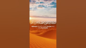 آخر آية من سورة الفتح بصوت الشيخ ياسر الدوسري❤️