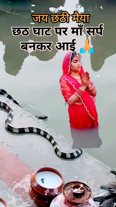छठ घाट पर आई छठी मां सर्प के रूप मे ||jai chhathi maeya 🙏🙏||Chhath puja 🙏🙏#Chhath #ytshorts #viral