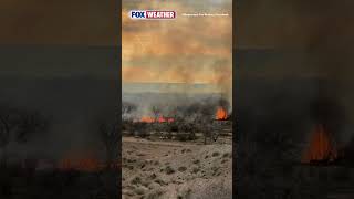Famous RAGING FLAMES 🔥: First Responders In Valencia County, New Mexico Continue To Combat The Unified Fire Wealth