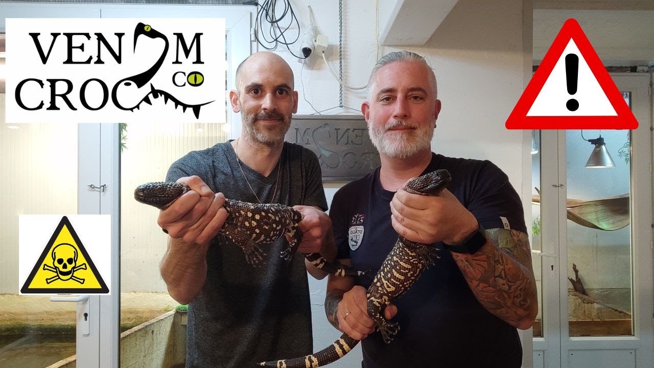 VISITE ELEVAGE VENOM CROC. capacitaire serpents venimeux, crotale, cobra, vipère,