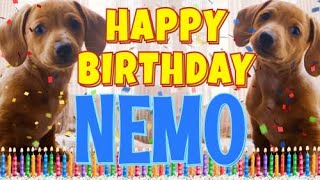 Happy Birthday Nemo! ( Funny Talking Dogs ) What Is Free On My Birthday