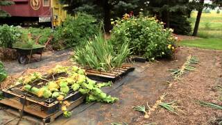 Prairie Yard & Garden: Straw Bale and Pallet Gardening