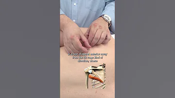 How To Dry Needle Teres Major