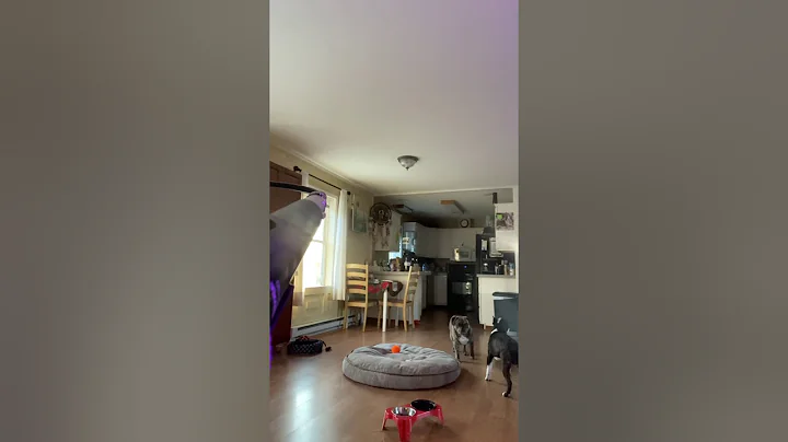 Classical Squeal Slam