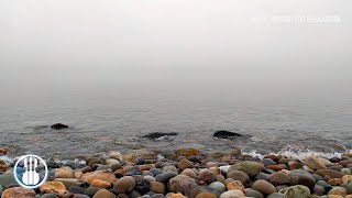 Foggy Morning by the Sea 🌊 Gentle Sounds of Sea Waves for Relaxation, Calm, Sleep