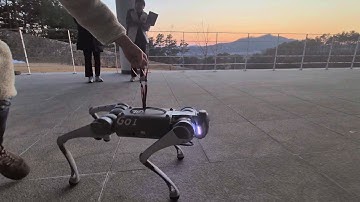 Learning to Walk  - Reinforcement Learning on Unitree Go1