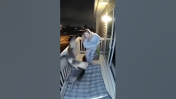 Owl vs Cat in the Front Yard