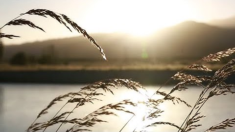 {واذكر اسم ربك بكرة وأصيلا} تلاوة هادئة تريح الاعصاب