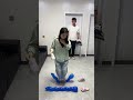 Family Balloon Stomp Challenge #Funny #Comedy #Fun #FunnyShorts #FunnyFails #FunnyGames