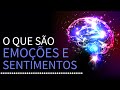 O Que São Emoções e Sentimentos? | PEDRO CALABREZ | NeuroVox 001