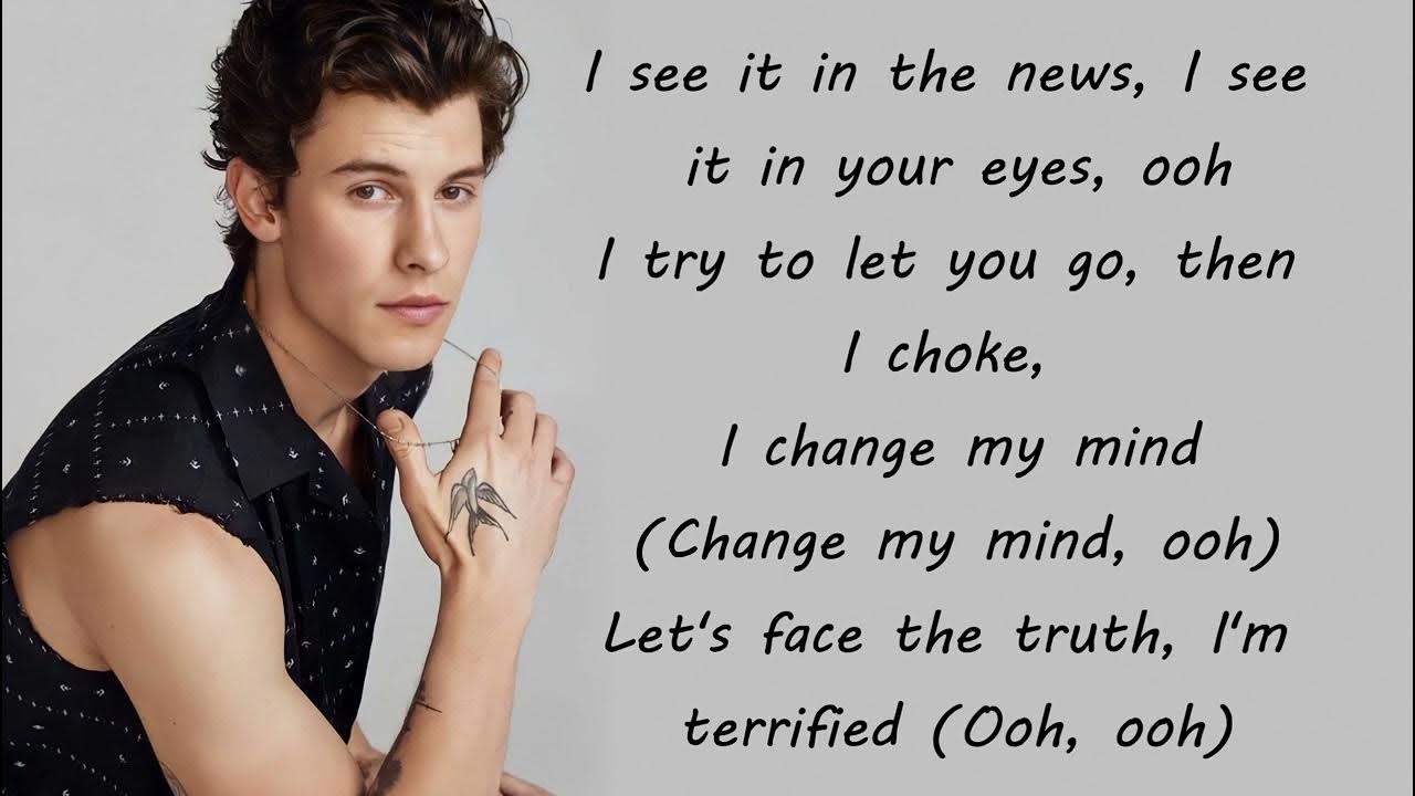 Shawn Mendes WHAT THE HELL ARE WE DYING FOR ? (Lyrics) YouTube