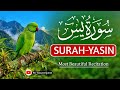 Surah Yasin (Yaseen) سورة يس | Heart Touching &amp; Relaxing Quran Recitation | Most Beautiful Voice