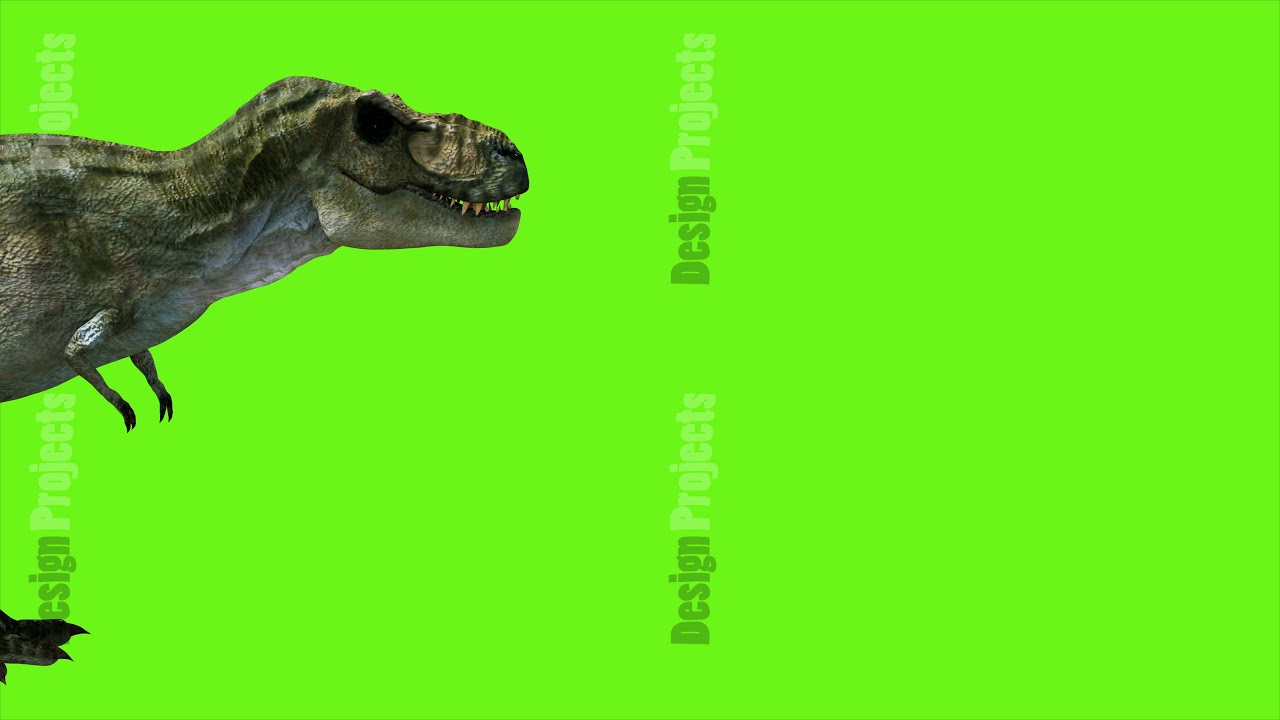 T Rex Tyrannosaur Dinosaur animation on green screen. GI realistic render. 4k.