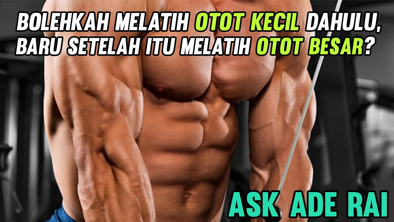 Bolehkah Melatih Otot Kecil Dahulu, Baru Setelah Itu Melatih Otot Besar