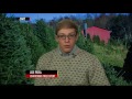 Christmas Tree Expert Joe Pera