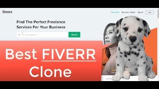 Build a Website Like Fiverr - Best Fiverr Clone Script 👉 Wordpress Pricerr Theme Review