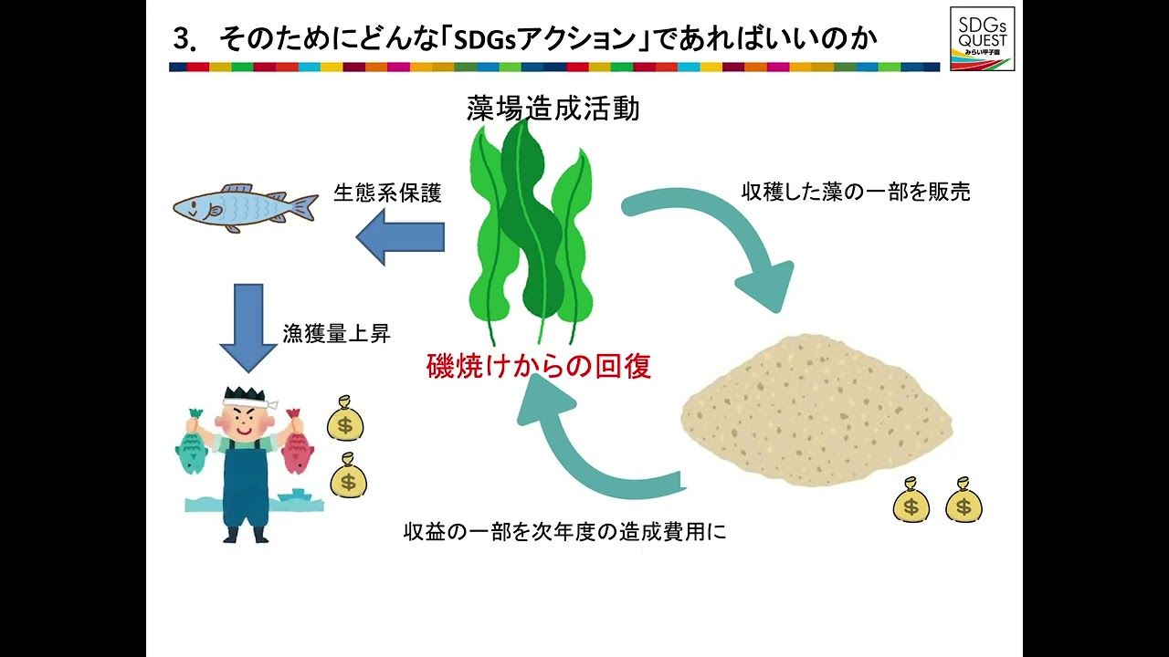海藻から牛の飼料ゲップ削減に挑戦する藻場造成ビジネス - SDGs QUEST