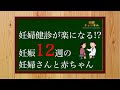 【妊娠12週】妊婦健診が楽になる!?そんな時の妊婦さんと赤ちゃんの様子について