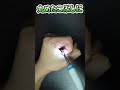 専門店レベルの高画質で耳垢を取れる最先端カメラ付き耳かき!!【子供や彼氏・彼女やペットにおすすめ大活躍】 #購入品紹介