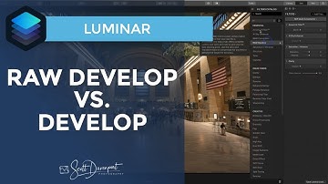 Luminar RAW Develop vs  Develop Filter