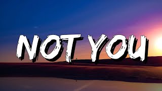 Alan Walker - Not You (Lyrics) ft. Emma Steinbakken [4k]