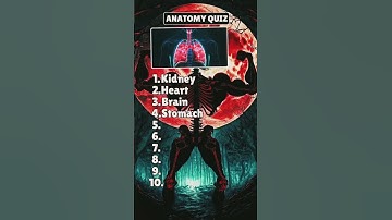 Quiztime  CuriousMindsCrazyQuiz #quiz #facts #yt #brainteasers #viralvideos #ytshorts #anatomyquiz